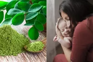 9 Manfaat daun kelor untuk ibu menyusui & cara gunakannya