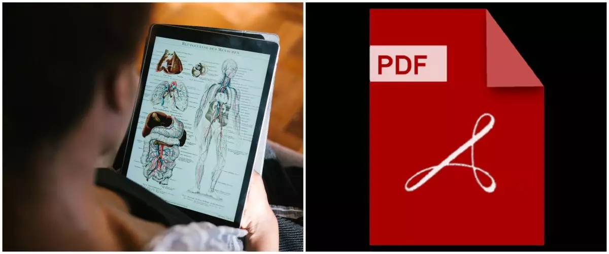 13 Cara mengubah Word ke PDF secara online dan offline