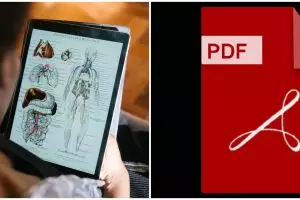 13 Cara mengubah Word ke PDF secara online dan offline