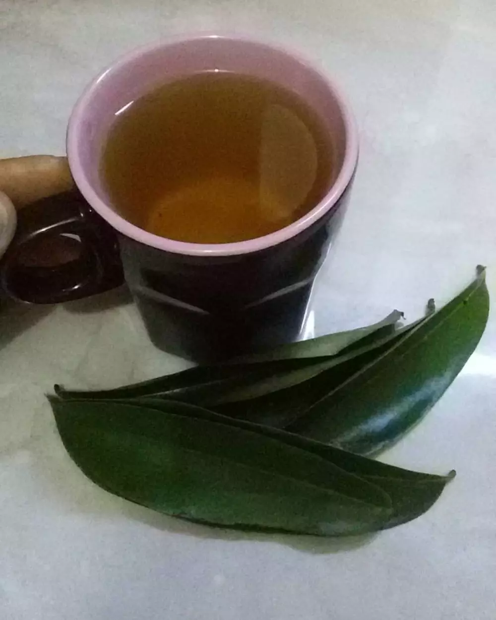 Manfaat daun sirsak untuk kanker beserta cara mengolahnya freepik.com Instgram/@mellissa_morgan 