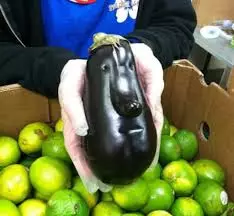 Benda mirip wajah © 2019 brilio.net