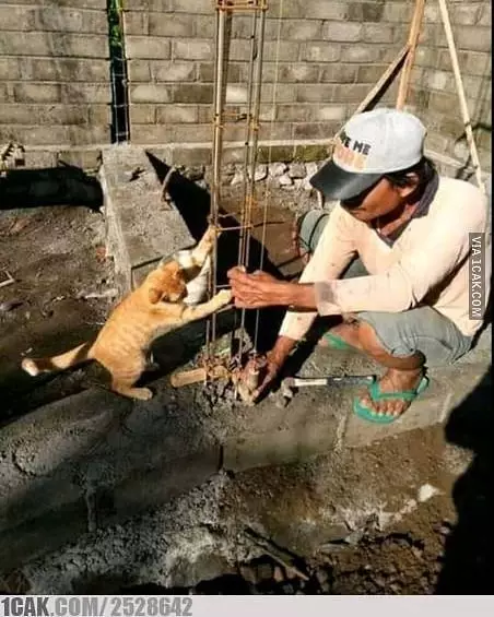 tingkah nyeleneh tukang bangunan © 2019 1cak.com