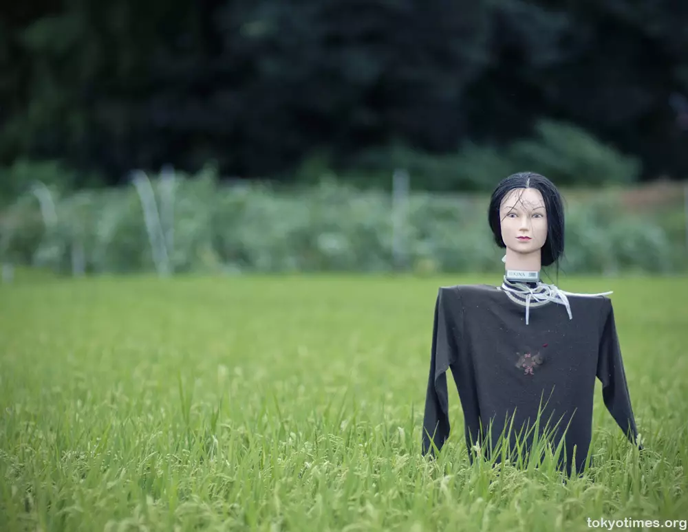 Orang-orangan sawah Jepang  Istimewa Orang-orangan sawah Jepang  Istimewa