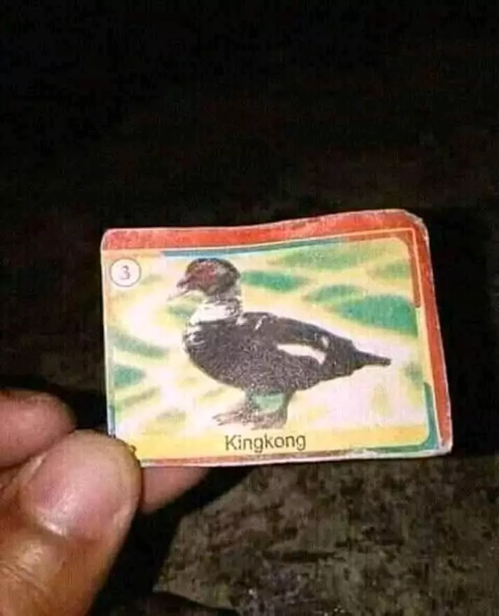 kesalahan mainan anak-anak © 2019 instagram.com