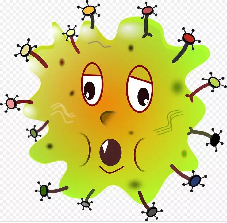 6 Fungsi lambung manusia dan cara menjaganya secara mudah freepik.com