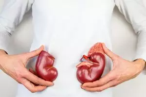 8 Fungsi ginjal yang penting bagi tubuh dan cara menjaganya