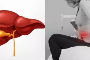 6 Fungsi empedu manusia dan cara mudah menjaganya