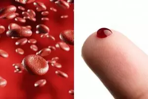 11 Fungsi darah pada tubuh manusia dan jenis-jenis sel darah