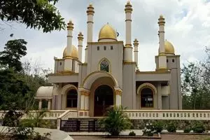Masjid indah ini dibangun di tengah hutan, begini penampakannya
