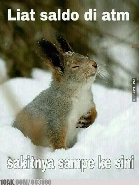 meme patahati. © 2019 brilio.net