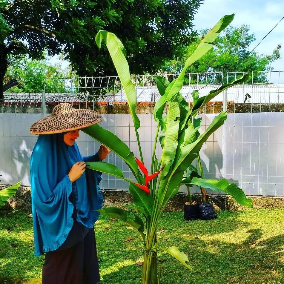 Penampakan rumah Dewi Hughes YouTube