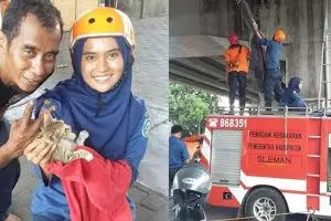 Aksi heroik 3 jam evakuasi kucing di fly over ini bikin haru