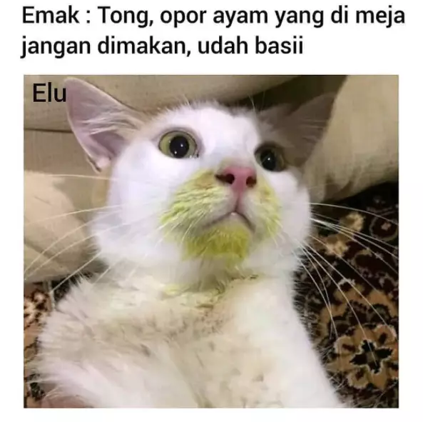 kata lucu bergambar terbaru © 2021 brilio.net