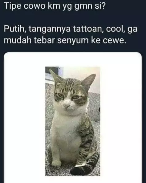 kata lucu bergambar terbaru © 2021 brilio.net