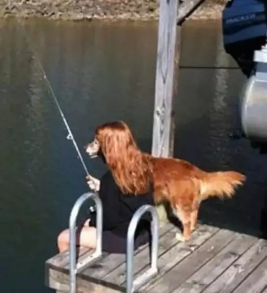 10 momen kebetulan yang bikin ngakak dan gagal fokus © 2019 brilio.net 10 momen kebetulan yang bikin ngakak dan gagal fokus © 2019 brilio.net