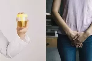 4 Proses pembentukan urine manusia dan mengenal sistem kemih