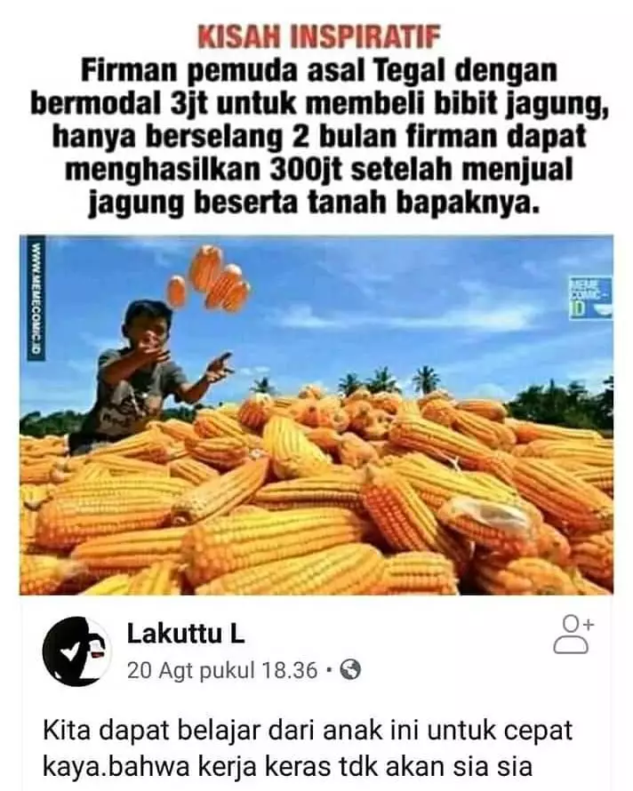 status medsos pekerjaan idaman tawa pecah © berbagai sumber