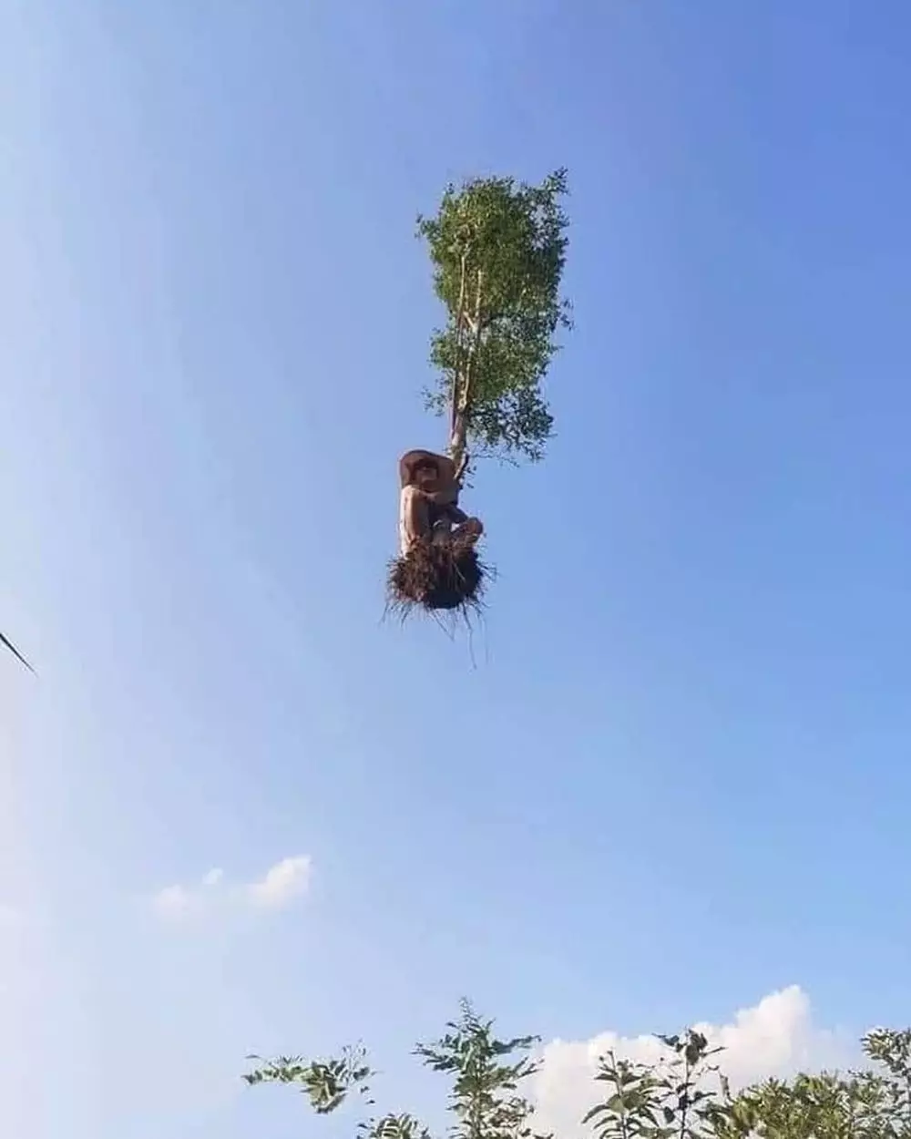 10 foto teliti lagi © 2019 brilio.net 10 foto teliti lagi © 2019 brilio.net