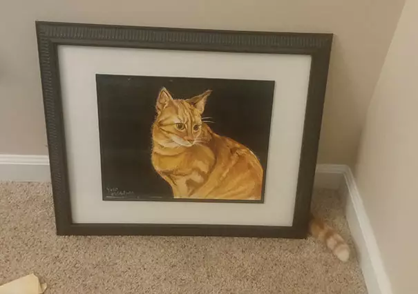 kucing kamuflase unik © 2019 brilio.net