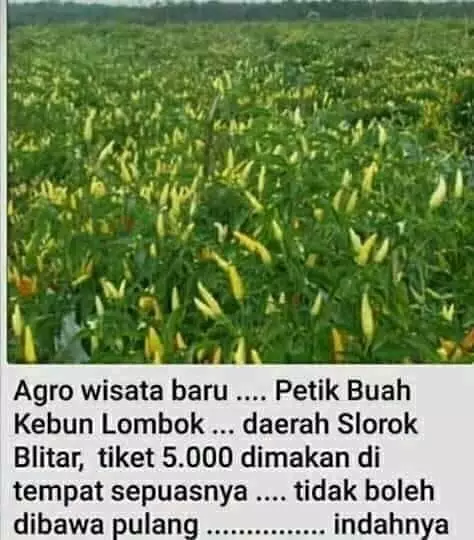 10 ide usaha warganet kocak © 2019 brilio.net 10 ide usaha warganet kocak © 2019 brilio.net