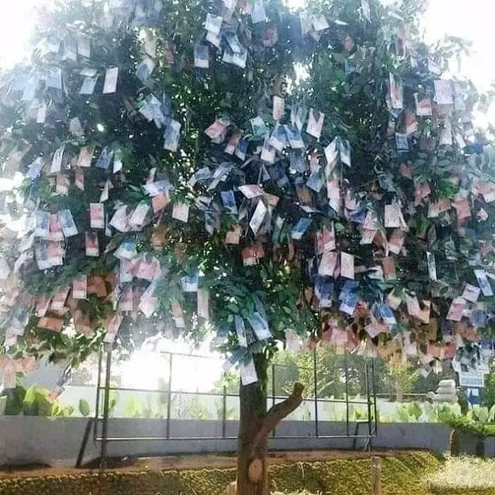 10 ide usaha warganet kocak © 2019 brilio.net 10 ide usaha warganet kocak © 2019 brilio.net