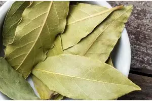 15 Manfaat daun salam untuk kesehatan, mengobati asam urat