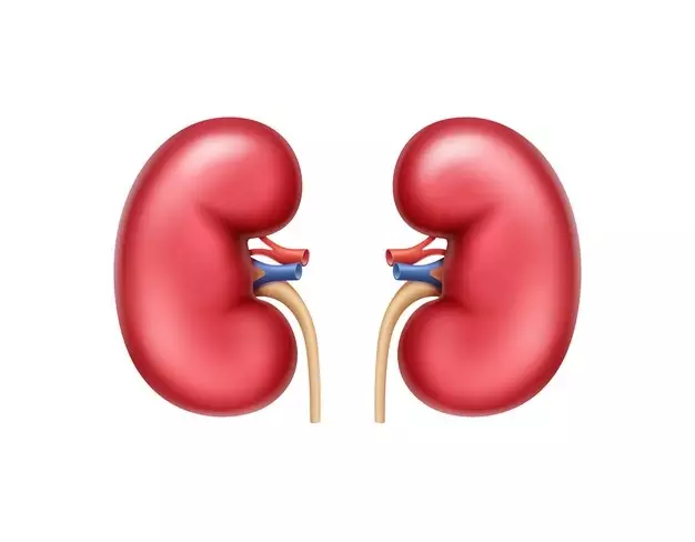 air kelapa untuk kesehatan © berbagai sumber air kelapa untuk kesehatan © berbagai sumber