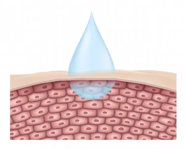 air kelapa untuk kesehatan © berbagai sumber air kelapa untuk kesehatan © berbagai sumber