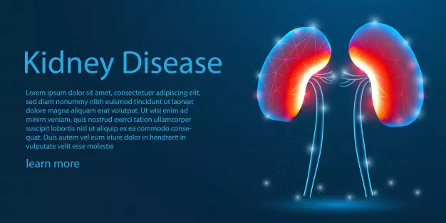 14 Penyebab anemia, gejala dan cara mencegahnya freepik.com