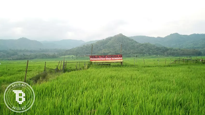 geblek pari © 2019 brilio.net geblek pari © 2019 brilio.net