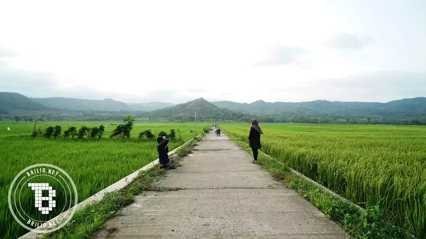 geblek pari © 2019 brilio.net geblek pari © 2019 brilio.net