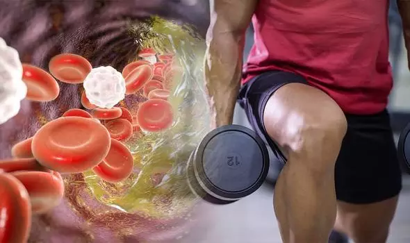 Manfaat donor darah bagi kesehatan Istimewa