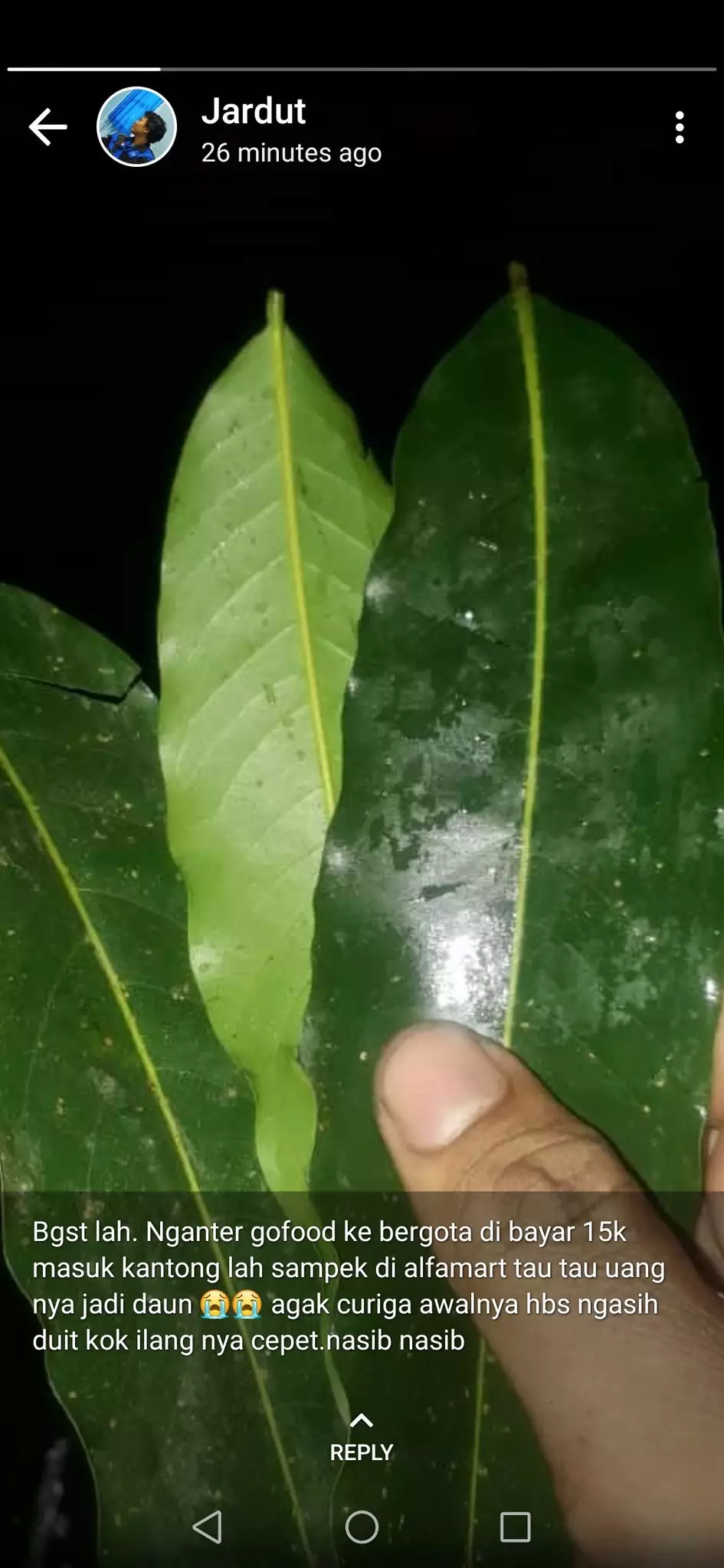 uang driver ojek online jadi daun © Twitter/@bitpras