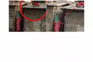 Dicariin emaknya, cara bocah ini sembunyi bikin geleng-geleng