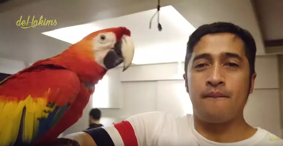 koleksi satwa irfan hakim  YouTube koleksi satwa irfan hakim  YouTube