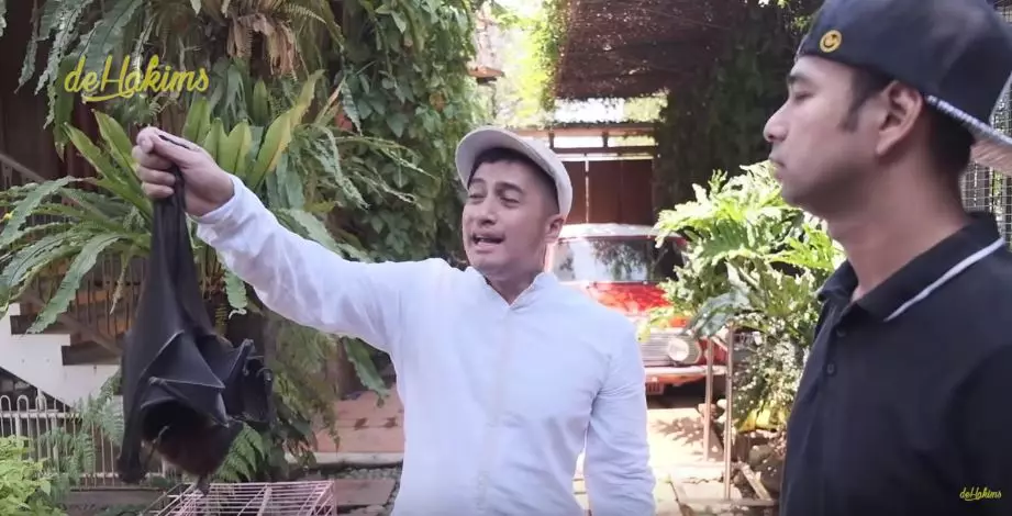 koleksi satwa irfan hakim  YouTube koleksi satwa irfan hakim  YouTube