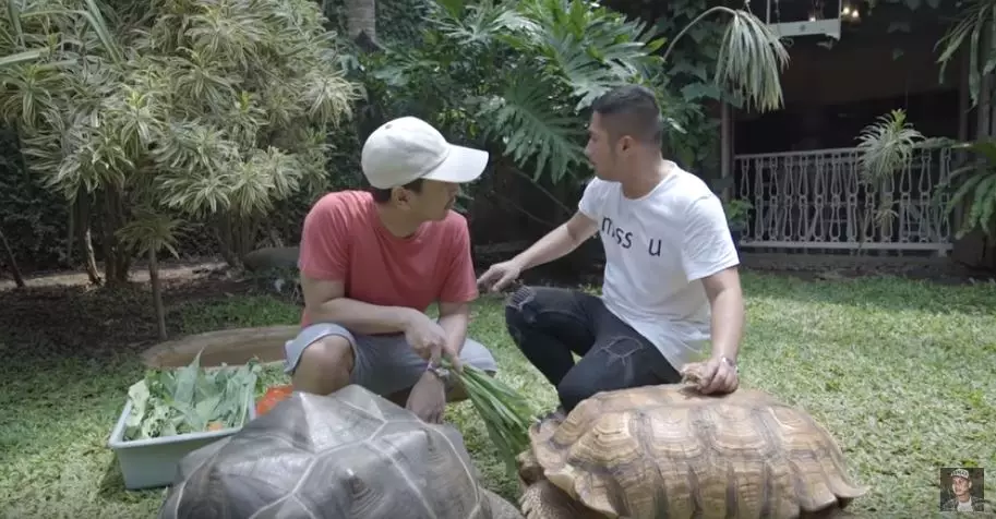 koleksi satwa irfan hakim  YouTube koleksi satwa irfan hakim  YouTube