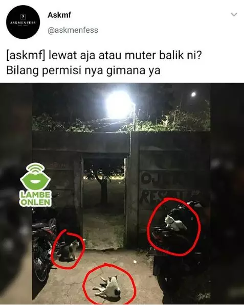 kejadian driver apes © 2019 brilio.net kejadian driver apes © 2019 brilio.net