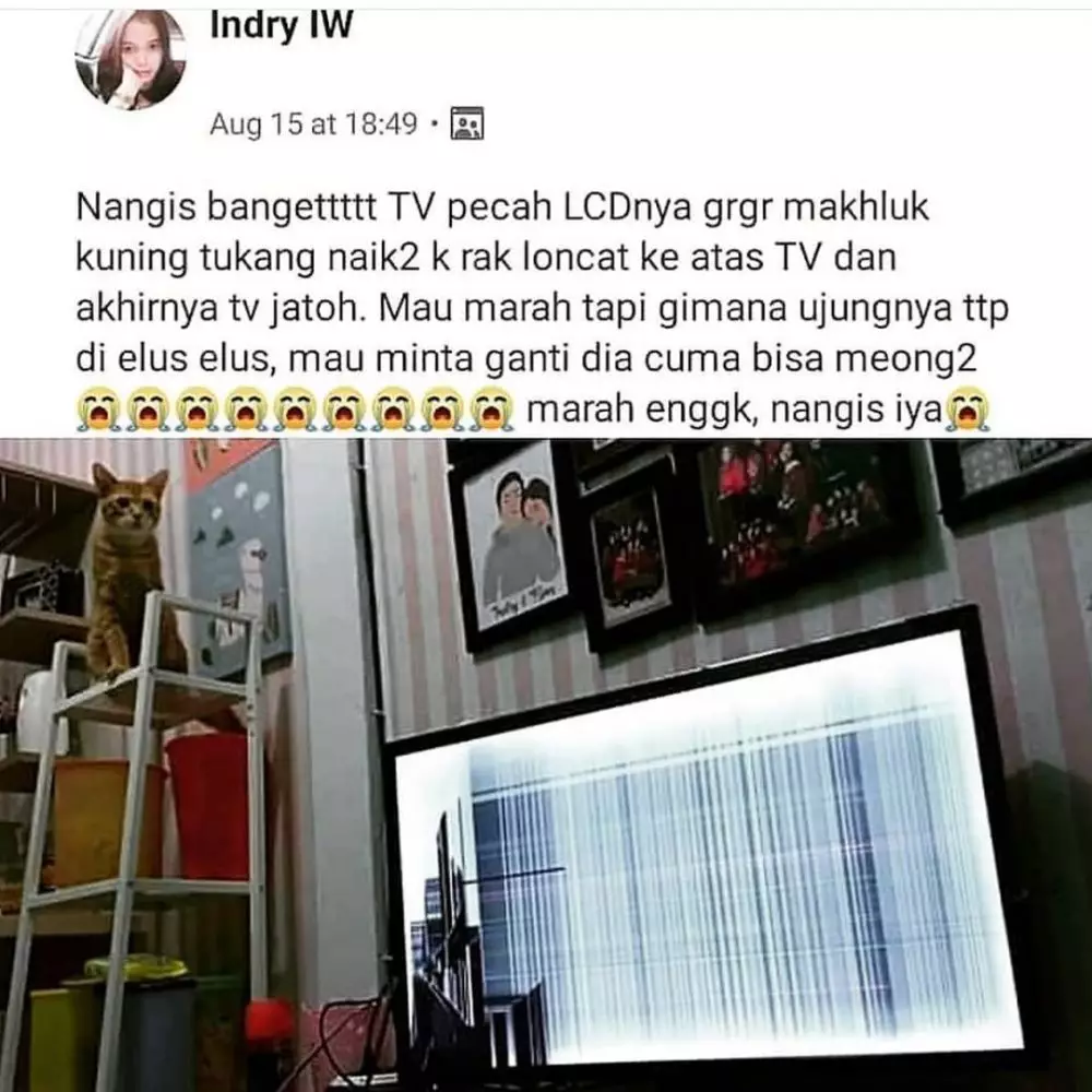 status lucu protes di Facebook © 2019 instagram.com status lucu protes di Facebook © 2019 instagram.com