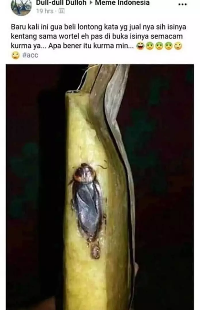status lucu protes di Facebook © 2019 instagram.com status lucu protes di Facebook © 2019 instagram.com