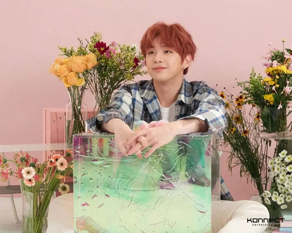 kado dari penggemar K-Pop © 2019 berbagai sumber kado dari penggemar K-Pop © 2019 berbagai sumber