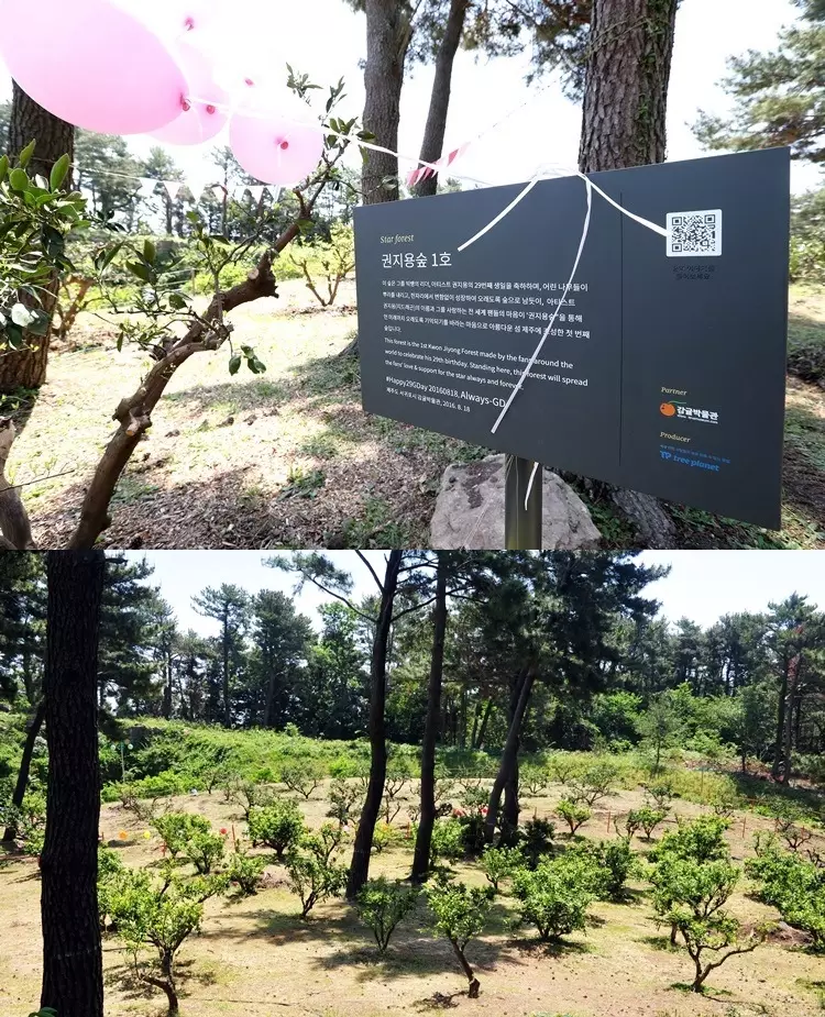 kado dari penggemar K-Pop © 2019 berbagai sumber kado dari penggemar K-Pop © 2019 berbagai sumber