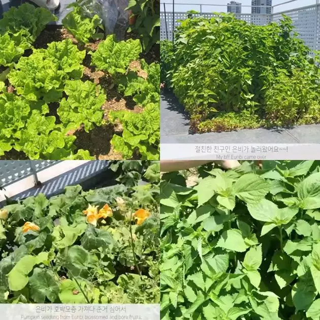 rumah jung so min YouTube