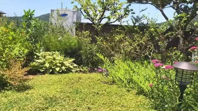 rumah jung so min YouTube