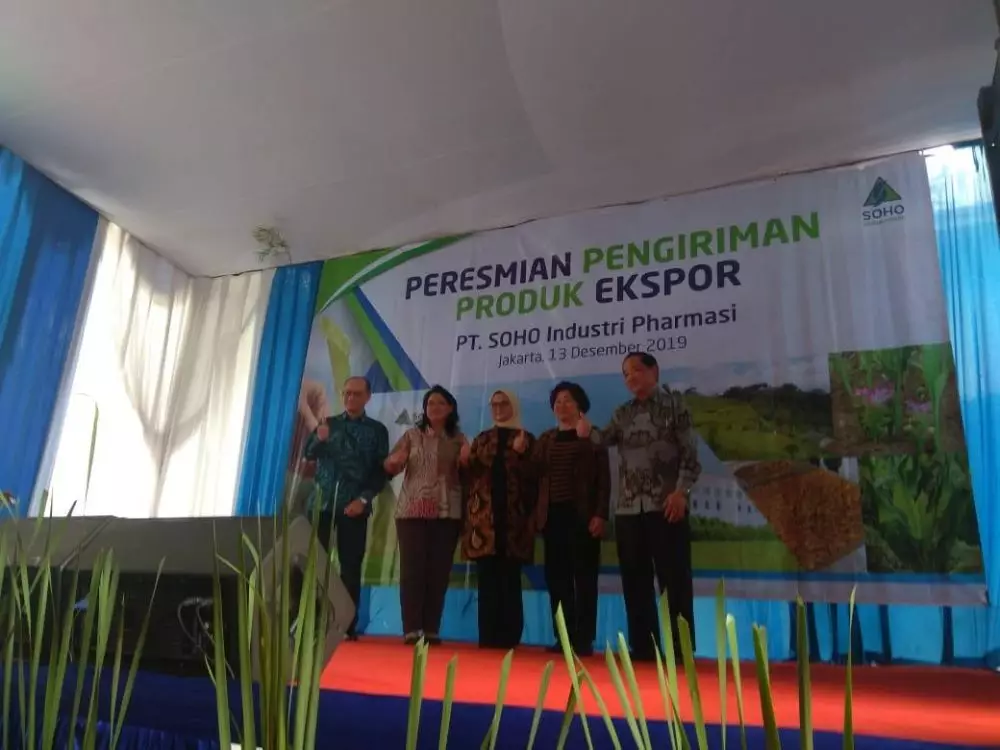 Temulawak © 2019 brilio.net Temulawak © 2019 brilio.net