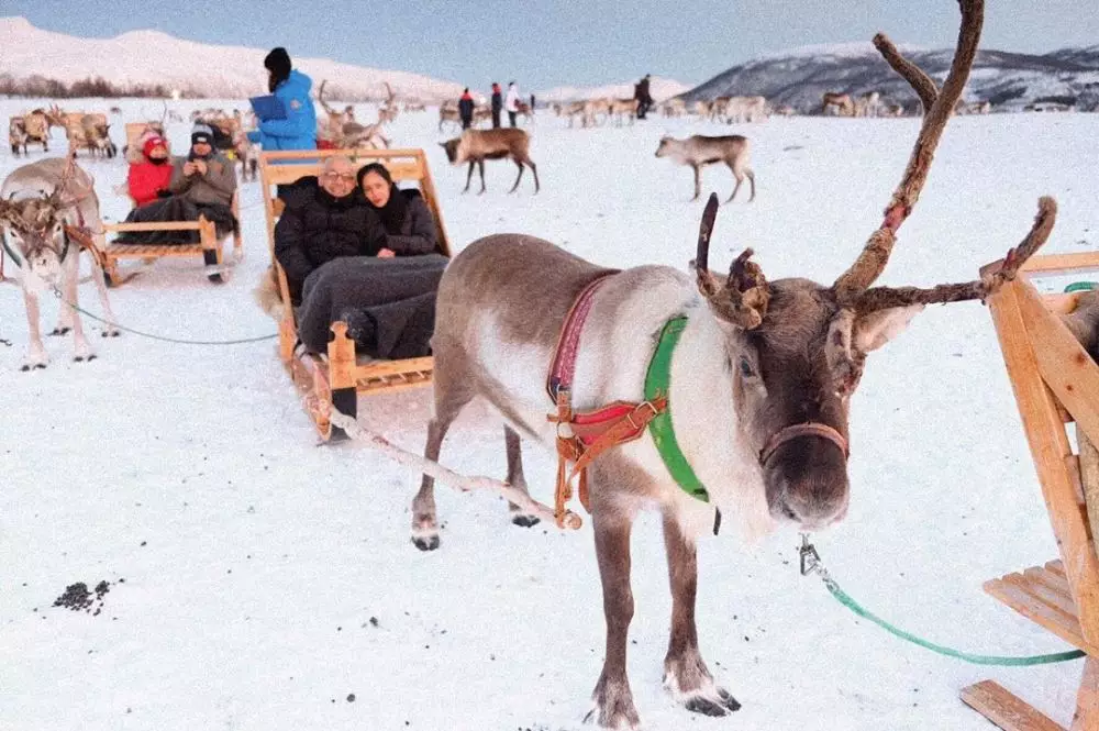 Bunga Zainal di Norwe  Instagram  Bunga Zainal di Norwe  Instagram