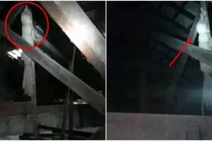 Mau pasang AC, pria ini temukan penampakan serem di plafon rumah