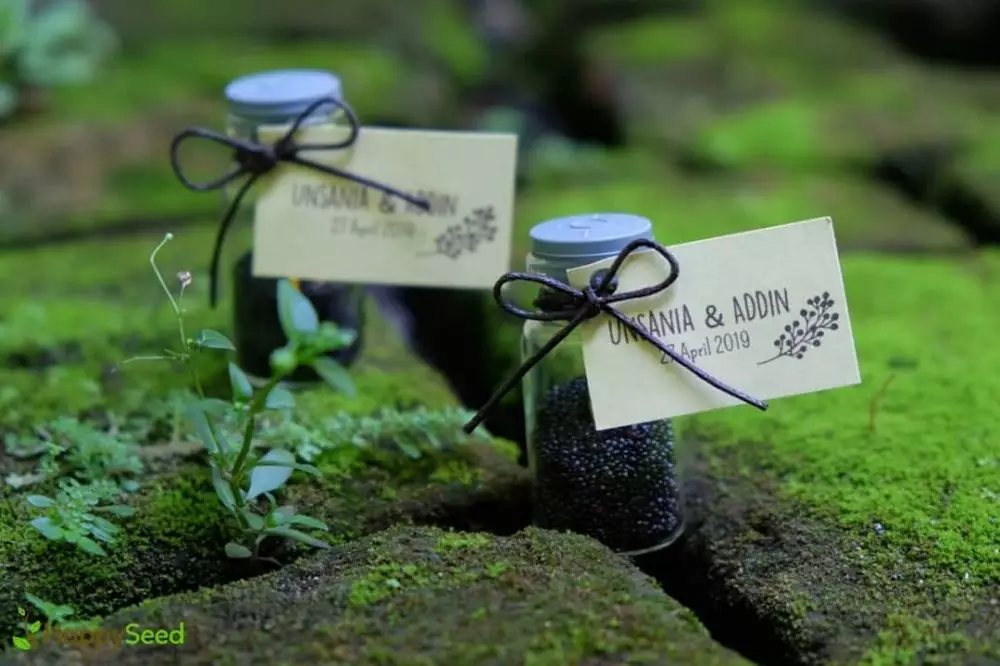 souvenir © 2019 brilio.net