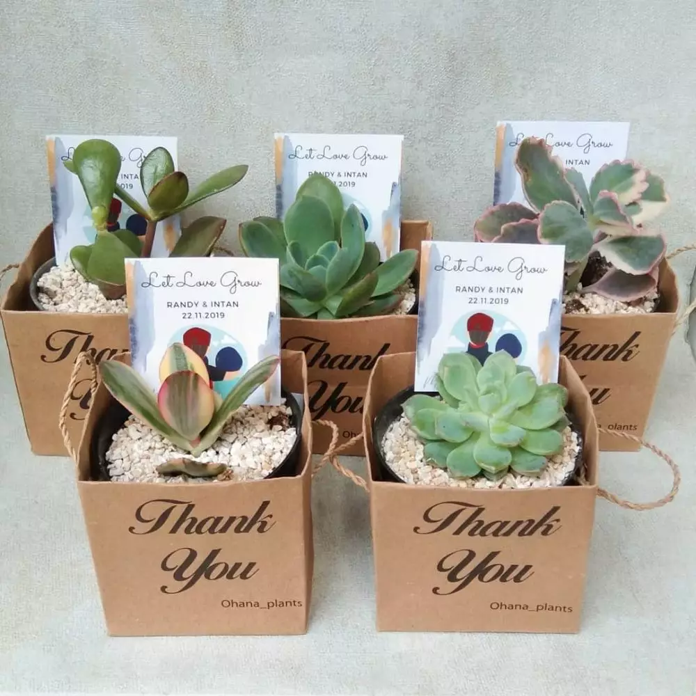 souvenir © 2019 brilio.net