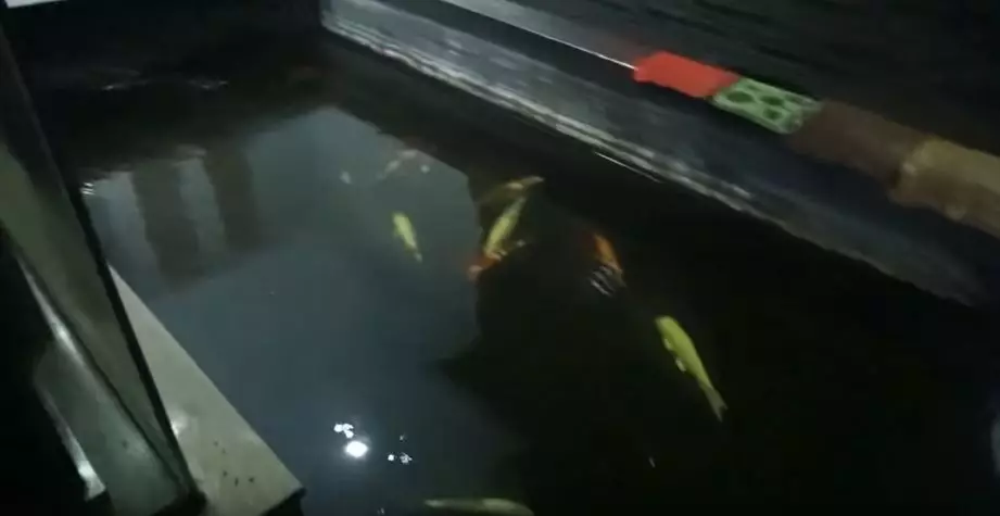 potret rumah faradina tika  YouTube